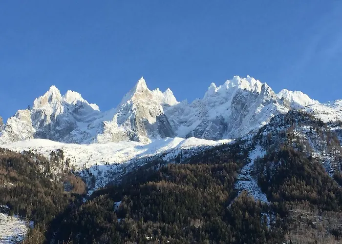 Le Petit M Au Pied Du Brevent 公寓 霞慕尼